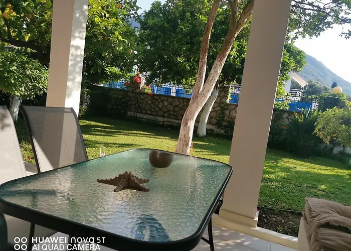 Nely\'S Luxury Home